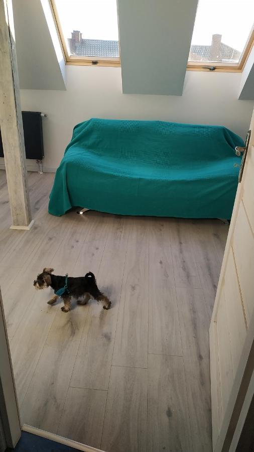 Apartament Witkacego Zielony Słupsk Dış mekan fotoğraf
