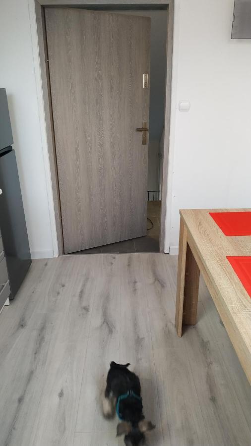 Apartament Witkacego Zielony Słupsk Dış mekan fotoğraf